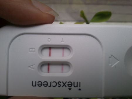 Тест на беременность определяет внематочную беременность 18
