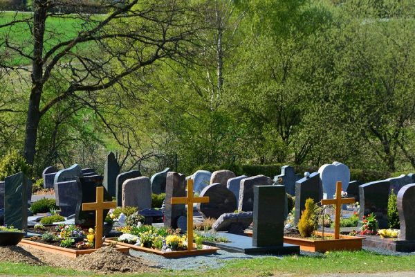 весна на кладбище