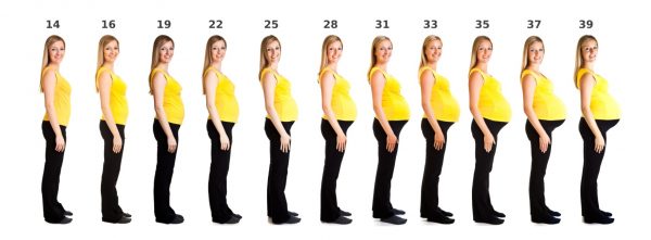 Изображения девушки на разных сроках беременности