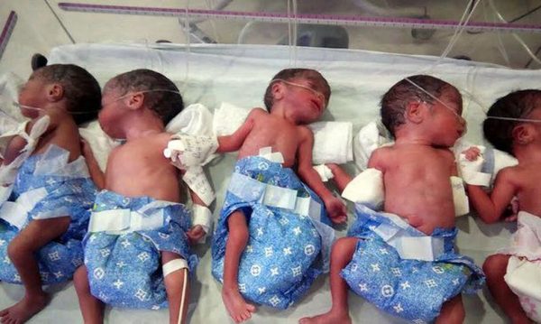 Новорождённые близнецы в кювезе