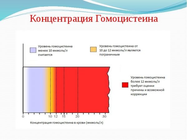 Оценка уровней концентрации гомоцистеина в крови