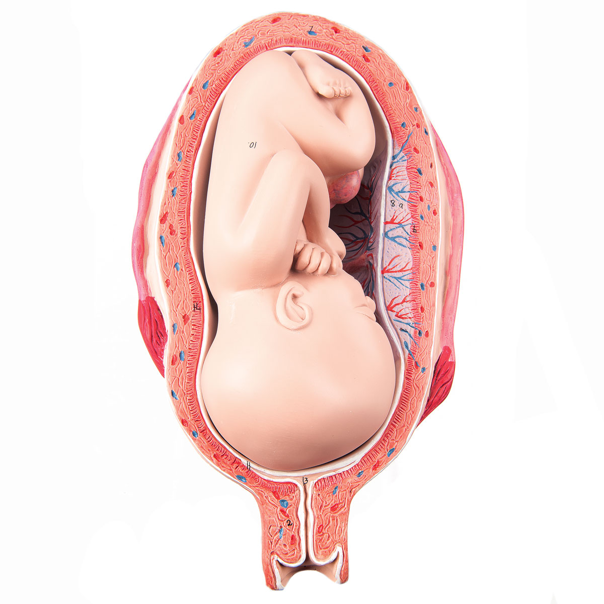 оргазм и гипертонус матки при беременности фото 74