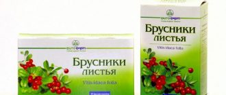 Во время беременности врачи часто выписывают женщинами брусничный лист: он уменьшает отёчность и оказывает на организм общеукрепляющее действие