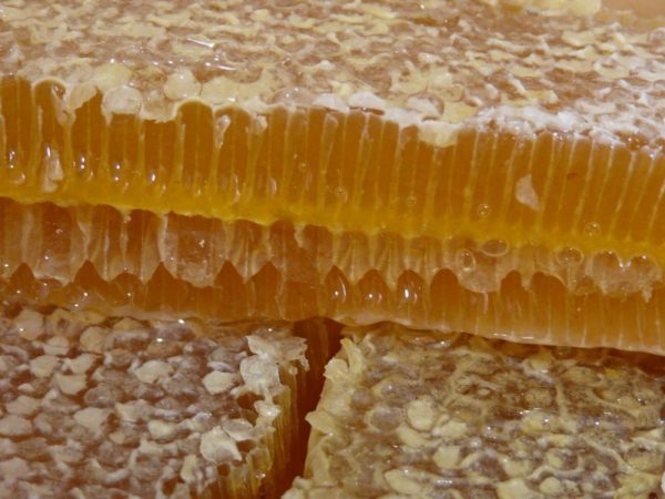 мёд в сотах