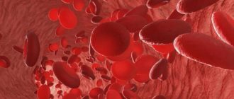 эритроциты в моче