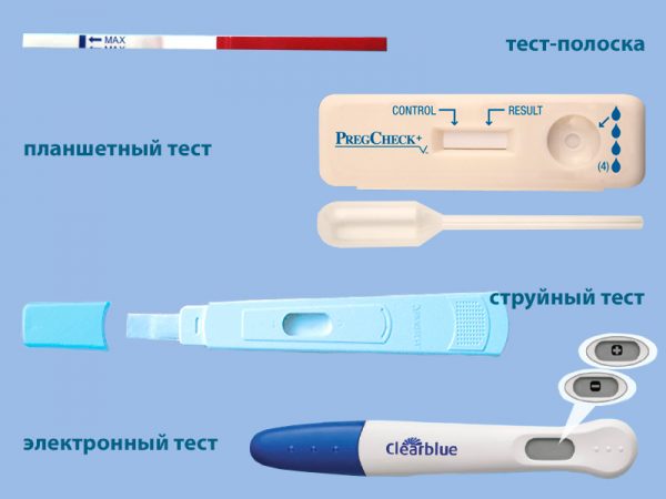 Виды тестов для определения беременности