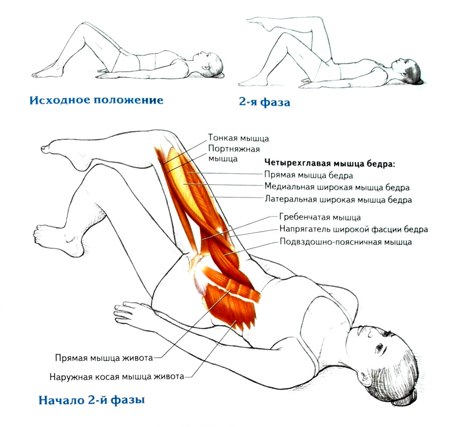 Почему когда лежишь на спине живот. Поднятие ног лежа на спине мышцы. Упражнение подъем согнутых ног лежа. Упражнение поднятие ног лежа на спине. Какие мышцы работают при подъеме ног лежа.